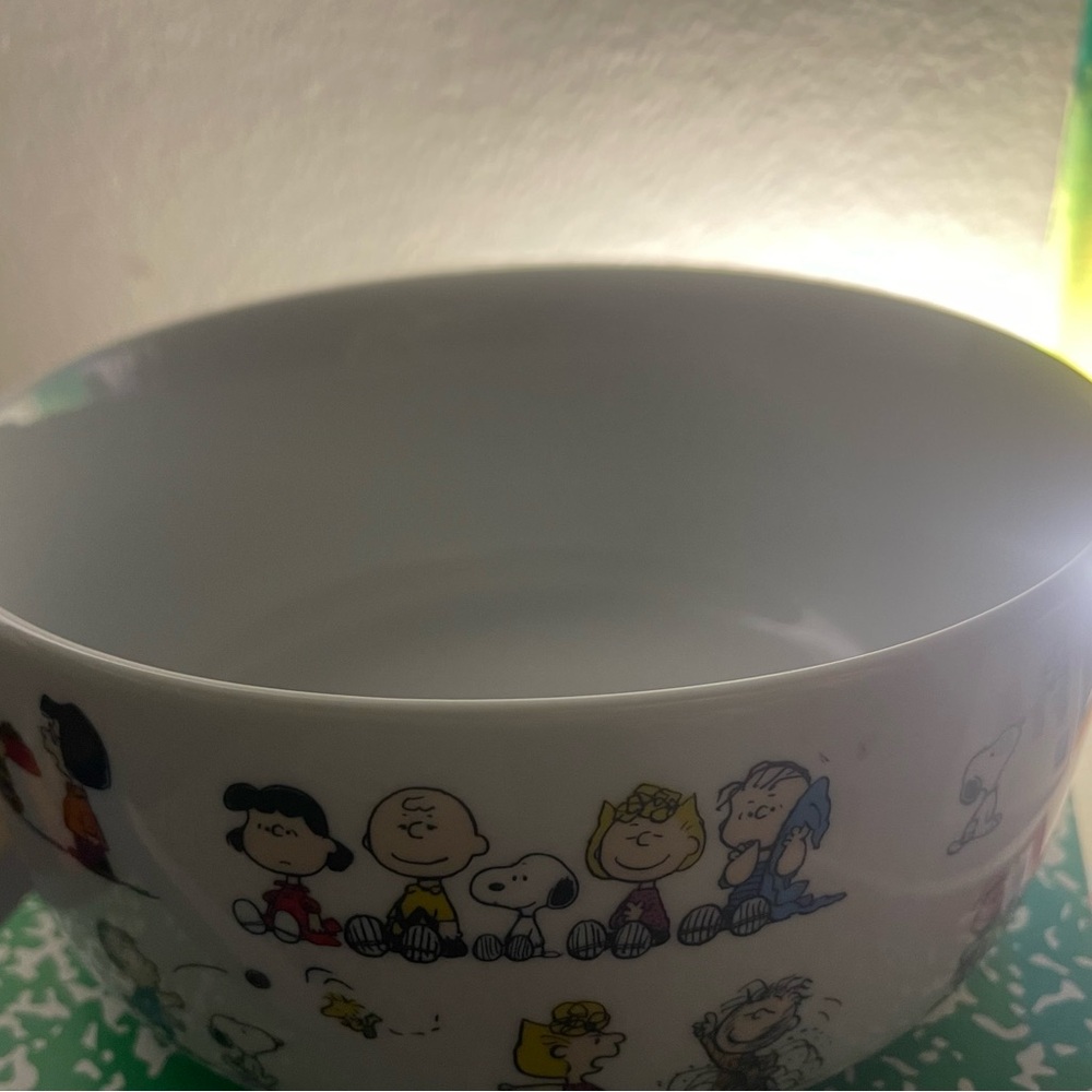 Peanuts Character Bowl